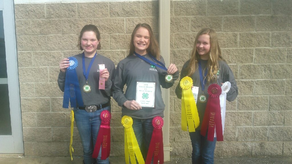 2018 Horse Judging