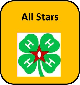 4-H Allstars Icon