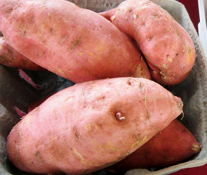 Sweet Potatoes