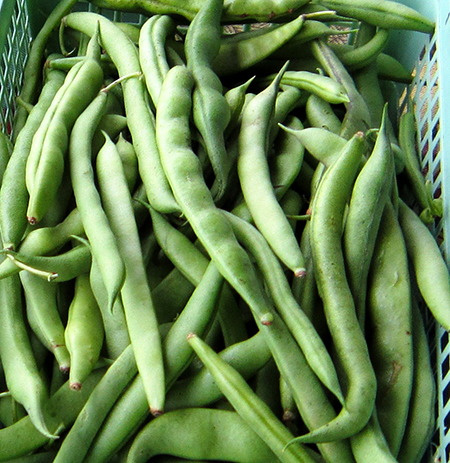 Snap Beans