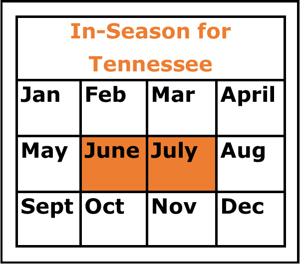 Season Chart for Potatoes