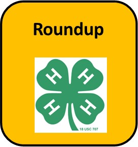 4-H Roundup