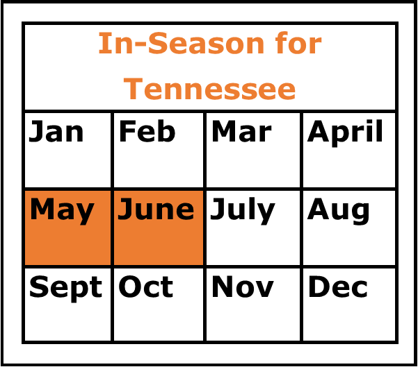 Season Chart for Strawberries