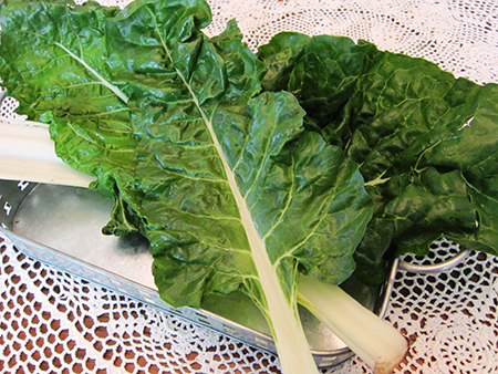 Swiss Chard