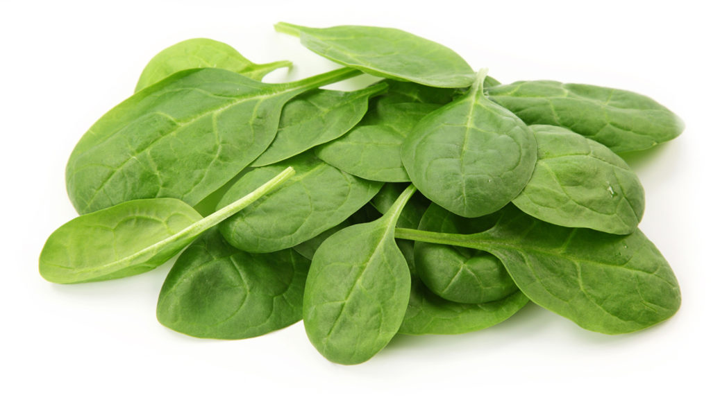 Can rabbits eat spinach, spinach leaves, roots, stems, or stalks?