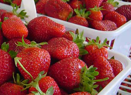 Strawberries