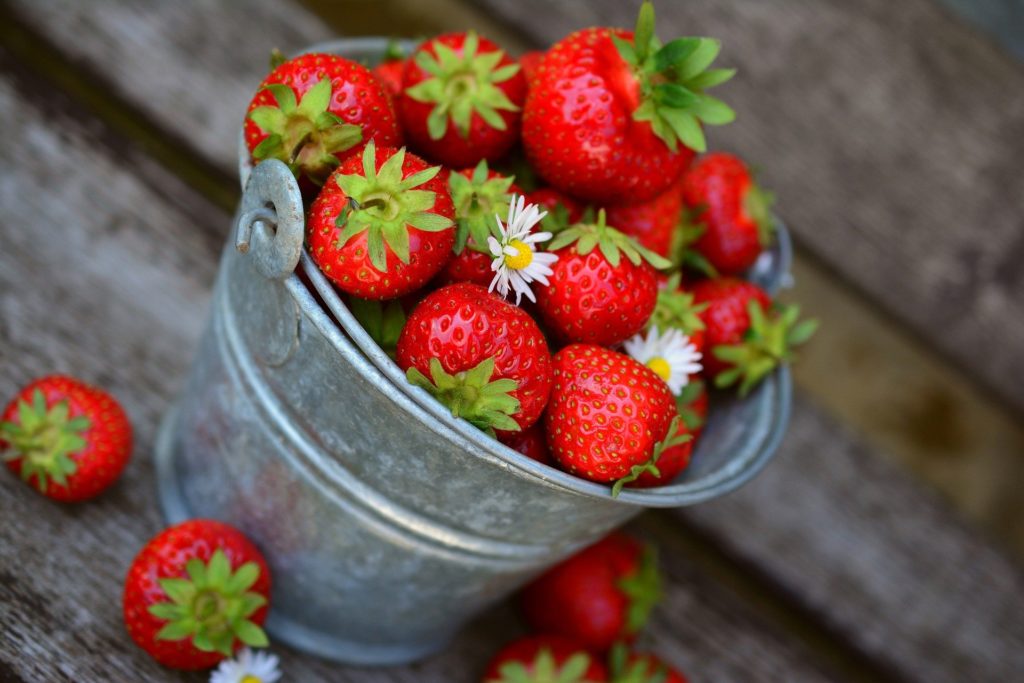 Strawberries in a Pail