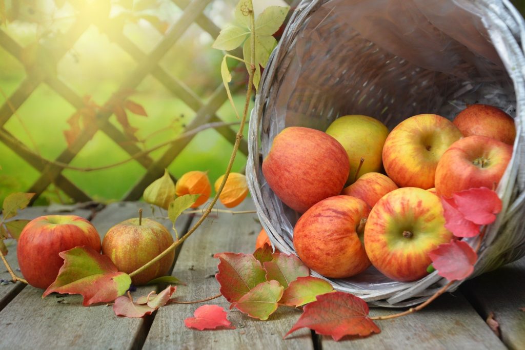 Apples in a Basket